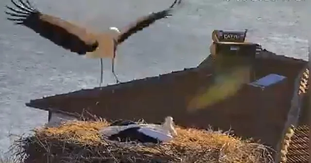 Yaren Leylek, eşi Nazlı ile de buluştu Bursa Haberleri