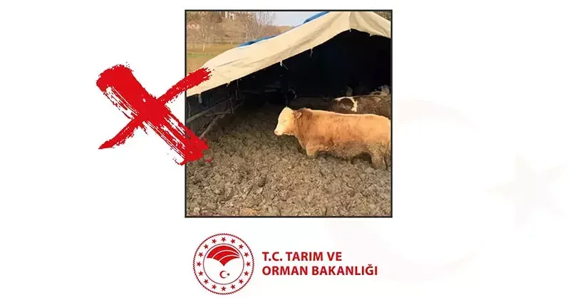 Bakanlıktan, işletmede hayvanlara kötü muameleye ceza