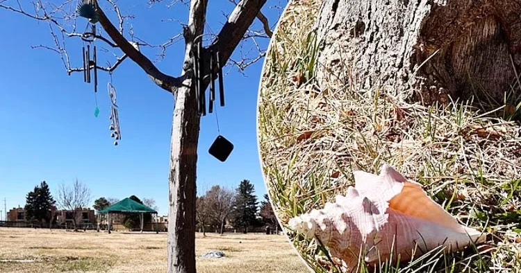 Çocukları milyonluk miras için birbirine girdi... Ünlü oyuncunun bir mezar taşı bile yok... Baş ucunda bir deniz kabuğu