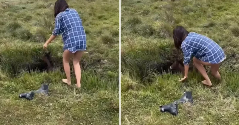 Dünyayı sevgi kurtaracak dedirten görüntü