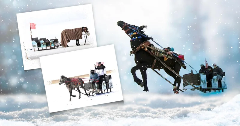 Çıldır Gölü üzerinde nostaljik yolculuk: Atlı Kızaklar