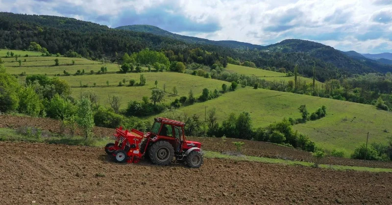 Tarım sezonunun ilk 4 ayında yağışlar yüzde 38 arttı