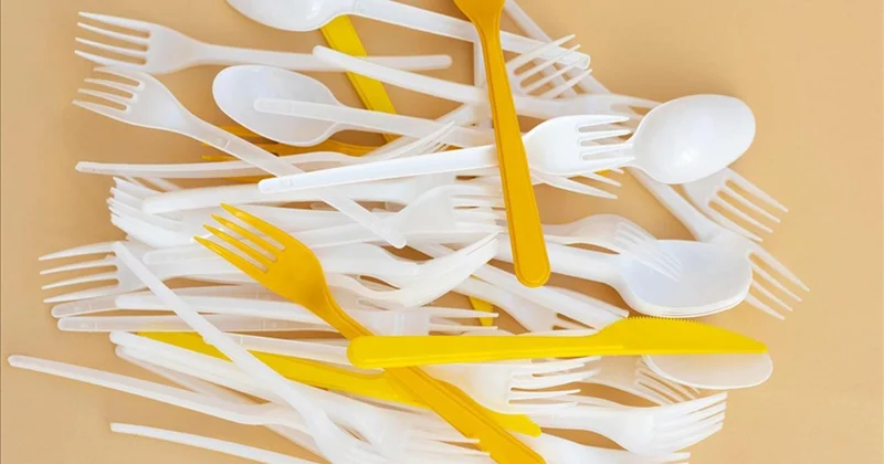 Plastik çatal, tabak ve pipetler yasaklanıyor