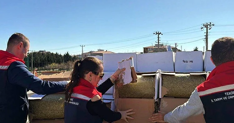 Baklavada kullanacaklardı: Gıda sahtekarları yakalandı