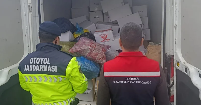 Baklavada kullanılacak 2 ton sağlıksız fıstık imha edildi