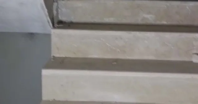 Yıkılacak binadaki yavru köpekleri kurtaran hayvansever yürekleri ısıttı Hatay Haberleri