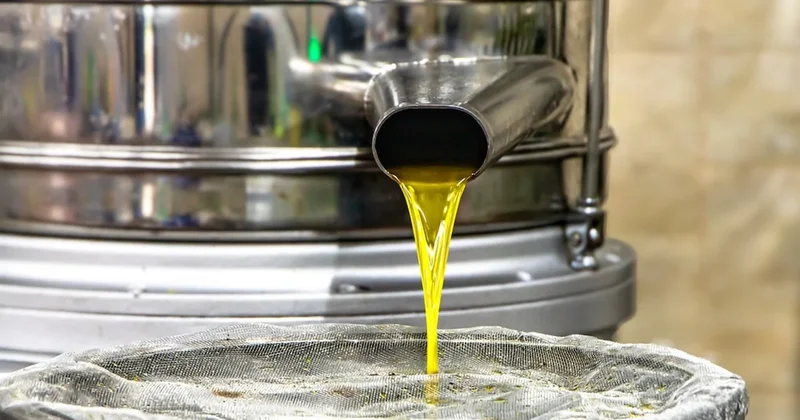 Zeytinyağı sandılar ama gerçek çok farklı çıktı: 20 binden fazla kişi hayatını kaybetmişti Sözcü Gazetesi