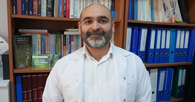 Uzmanı uyardı: Kar örtüsü keneleri yok etmiyor Tokat Haberleri