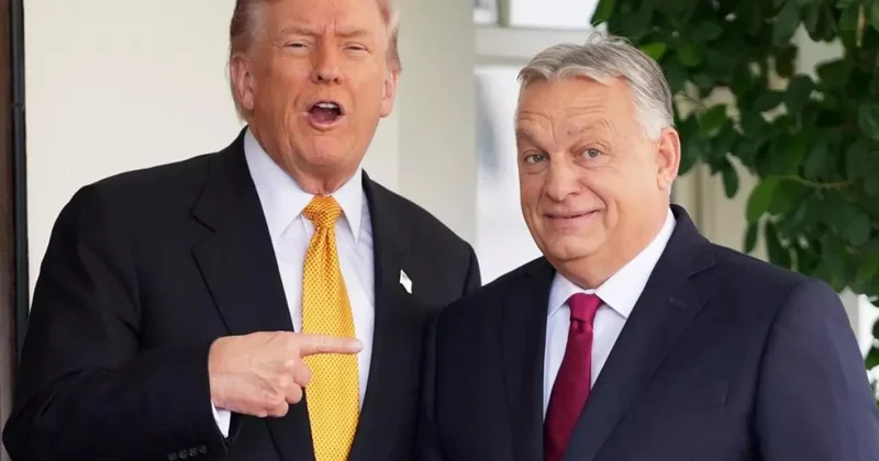 Trump: Oyunuzu Orban a atın, size yatırım yaparız