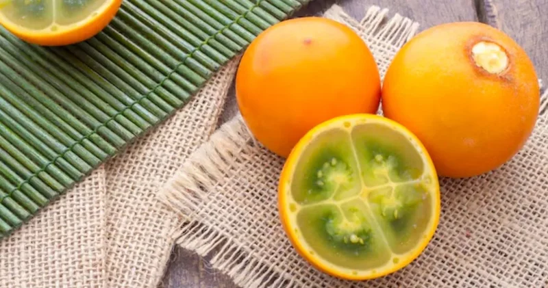 İhracatı yasak ama bölge halkı onu kaşık kaşık tüketiyor