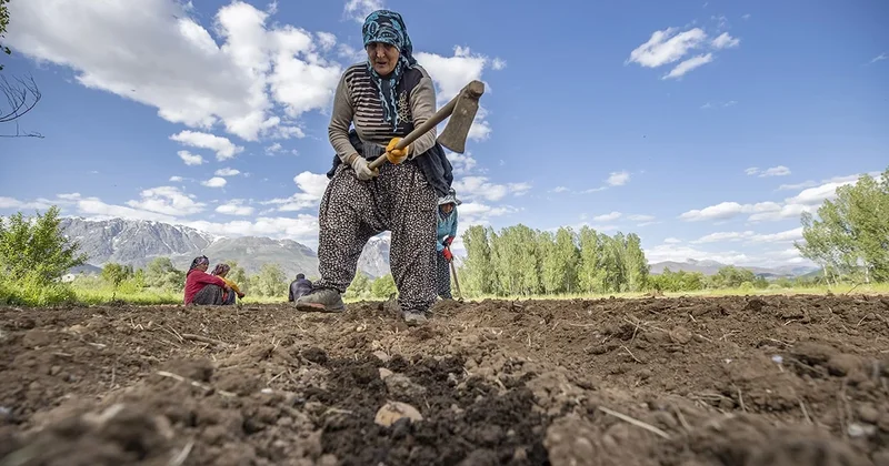 17 milyon emekli 11 bin bahçe etmedi Sözcü Gazetesi