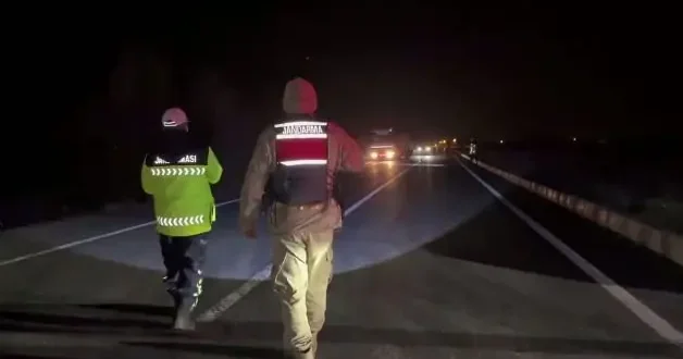 Van ve Hakkari’de zehir tacirlerine darbe: 446 kilogram uyuşturucu ele geçirildi