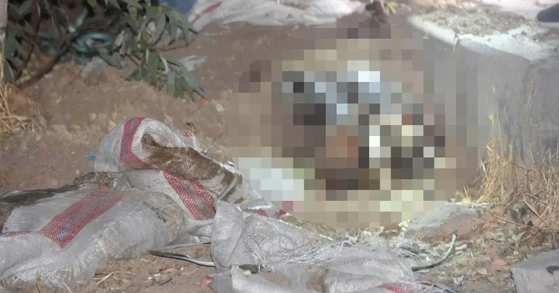 Bodrum daki çuval cinayetinde flaş: Ortaya çıkan detaylar kan dondurdu! İşte o canilere istenen ceza...