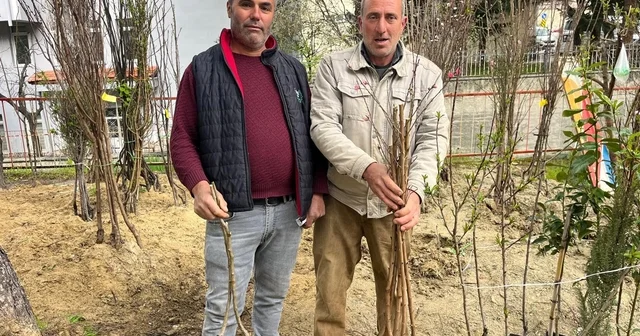 Buldan ın bereketli toprakları fidanlarla canlanıyor Denizli Haberleri