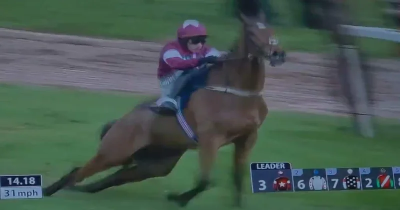 Kazanmak için sırtı kırılan atı defalarca kırbaçladı! İşkenceli galibiyetten sonra da öldürüldü... İşte o görüntüler