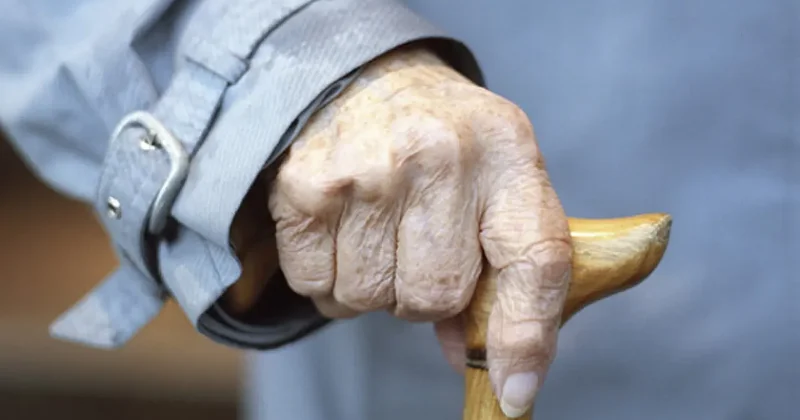 Türkiye nin potansiyeli yüksek: Emeklilik yaşını artırın, işten çıkarmayı kolaylaştırın