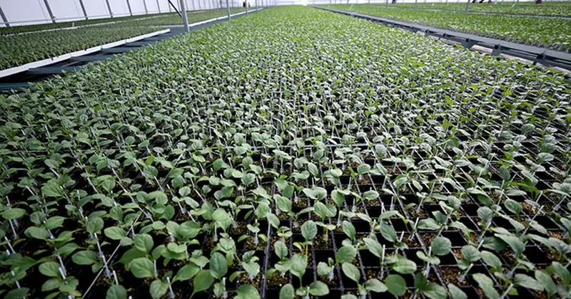 Arkadaş desteğiyle başlamıştı: Şimdi bölgenin tedarikçisi oldu!
