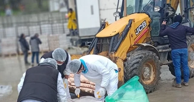 Sakarya da 32 ton son tüketim tarihi geçmiş tavuk eti ele geçirildi Sakarya Haberleri