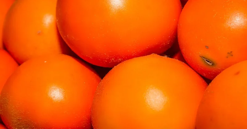 Bu meyvenin yurt dışına çıkarılması yasak Sözcü Gazetesi