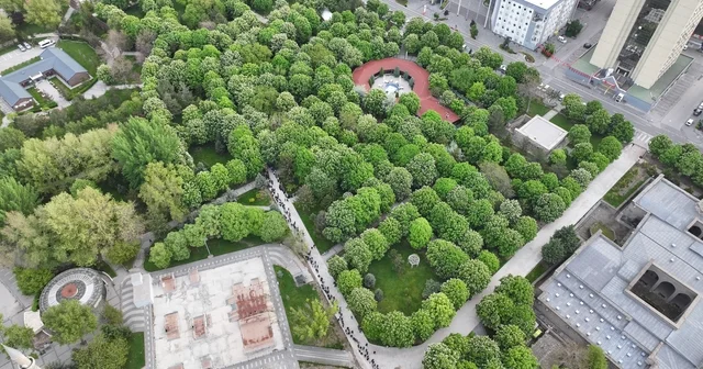 Kayseri de 300 bin kök organik domates fidesine yoğun ilgi Başkan Çolakbayrakdar: Bu fideler hibrit olmayan, kendinden üreyebilen tohumlar Kayseri Haberleri