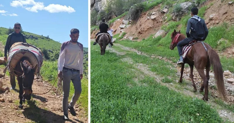 Sabah ezanıyla yola çıkıyorlar, katırlarla 3 saatlik yol gidip topluyorlar