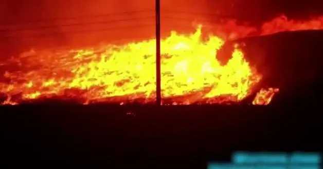 Alevlere teslim olan Florida da yangın kontroldenj çıktı 20 bin dönüm alan küle döndü