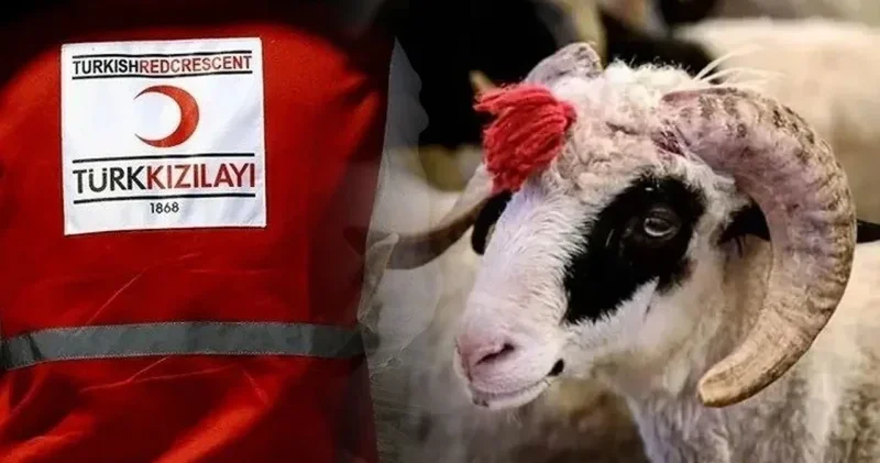 Kızılay’dan kurban bağışında dört taksit kolaylığı Ekonomi Haberleri