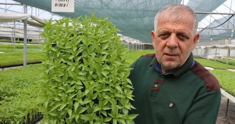İki emekli arkadaş hobi olarak başladılar: Yılda 1,5 milyon tanesini 7,5 TL den satıyorlar