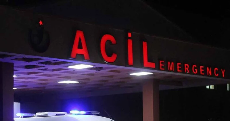 Havalar ısındı ortaya çıktı: Kene bir can daha aldı