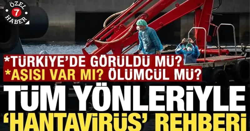 Hantavirüs rehberi: Türkiye de görüldü mü, nasıl bulaşıyor, aşısı var mı, ölümcül mü?
