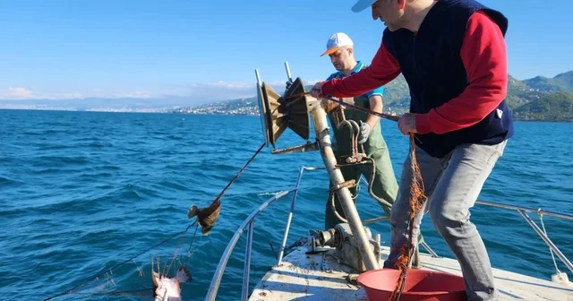 Kalkan av yasağı denetimlerinde 3 bin metre ağa el konuldu Trabzon Haberleri