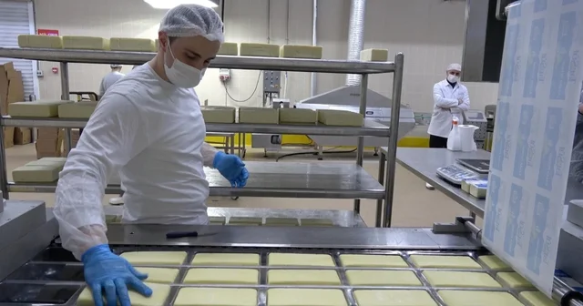 Erzincan da günlük 45 ton kapasiteli süt fabrikası çiftçiye gelir sağlıyor Erzincan Haberleri