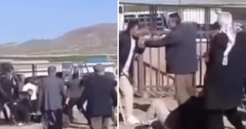 Van’da hayvan pazarında yaşanan dehşetin yeni görüntüleri ortaya çıktı