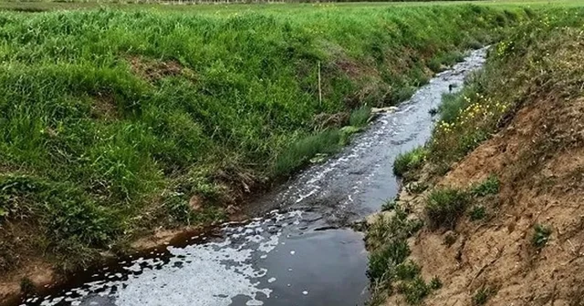Sinop ta çevreyi kirleten tesise 1.6 milyon TL ceza Sinop Haberleri