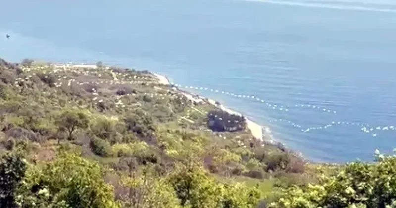 Gökyüzünü süsleyen pelikanların geçişi kamerada
