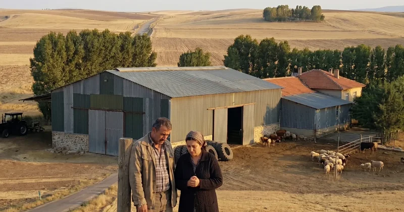 Yem karma makinesine kapılan çocuk öldü, ablasının kolu koptu Sözcü Gazetesi