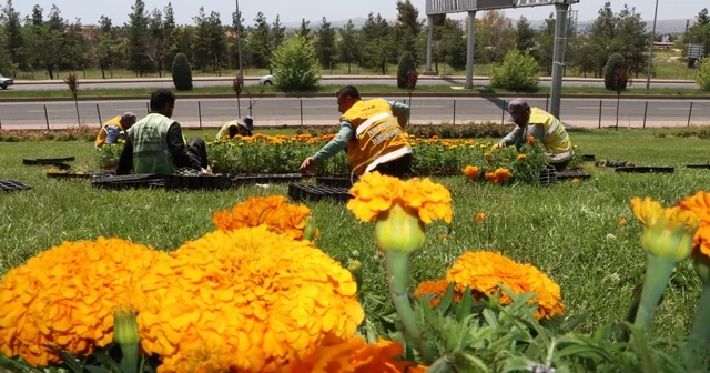 Şanlıurfa çiçeklerle donatıldı Şanlıurfa Haberleri