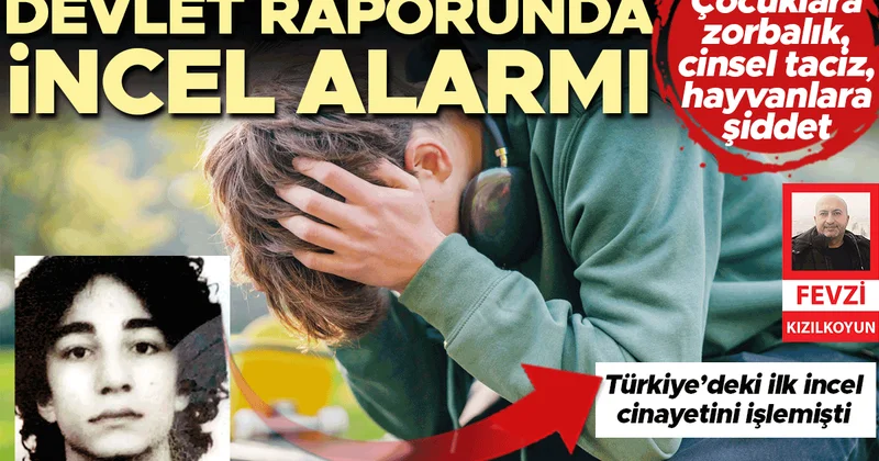 İçişleri Bakanlığı raporundaki ‘istemsiz bekarlar’