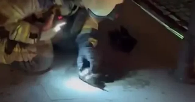 Bayrampaşa da markette çıkan yangından kurtarılan kediye itfaiye erinden kalp masajı VİDEO İZLE