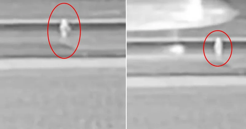Dehşet anları kamerada! Yolcu uçağı piste giren kişiye böyle çarptı