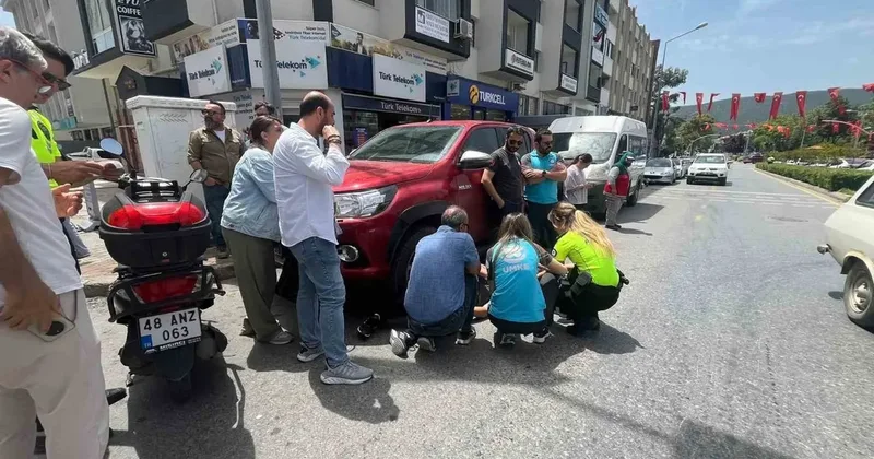 Menteşe’de trafik kazası: 1 yaralı