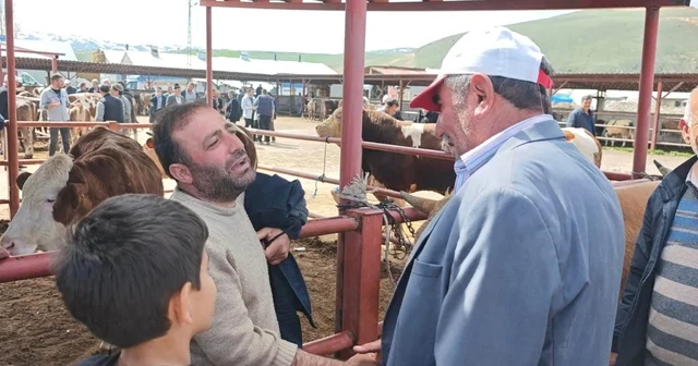 Kurban pazarlarında hareketlilik başladı Erzurum Haberleri