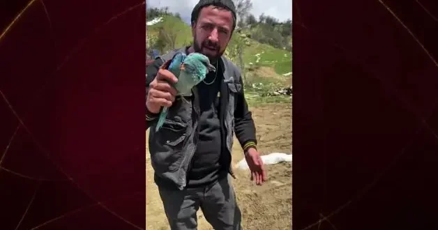 Gökkuzgunu Afyonkarahisar da görüntülendi