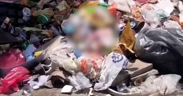 İzmirli vatandaş CHP li belediyeye isyan etti: Böyle olursa hanta virüs de gelir domuz virüsü de VİDEO İZLE