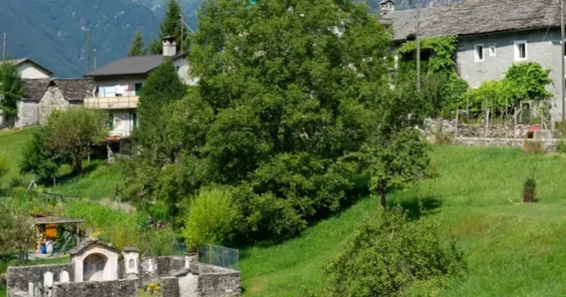 Köyüne gelenlere servet veriyorlar Sözcü Gazetesi