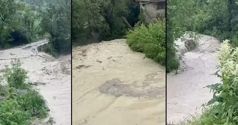 Şiddetli yağışın ardından dereler taştı, tarım arazileri su altında kaldı