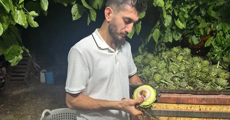 Maaşlı işi bırakıp ailecek üretime başladılar! 3 ayda resmen servet kazandırıyor