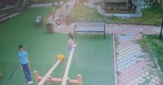 İstiklal Marşı nı duyan çocuklar oyunu bırakıp hazır ola geçti VİDEO İZLE