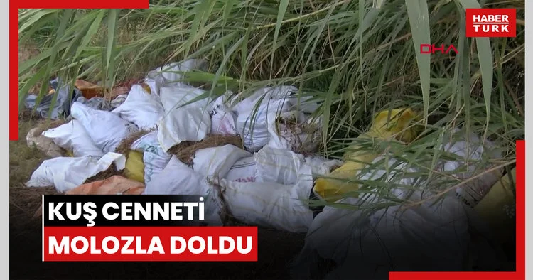 Kuş cenneti molozla doldu