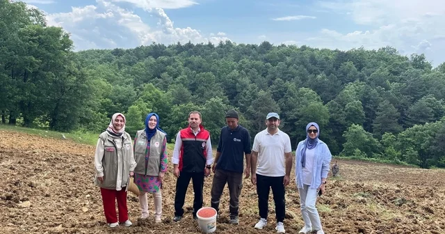 TAKE projesiyle tarım arazileri boş kalmayacak Bursa Haberleri